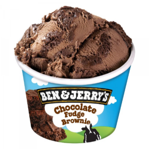 Ben & Jerry's Chocolate Fudge Brownie